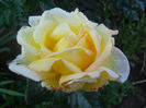 DSCN5889
