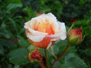 DSCN5899