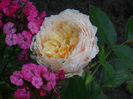 DSCN5908