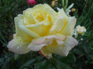 DSCN5920