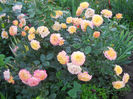gartenspass