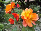 DSC06207
