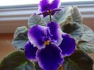 DSC01797