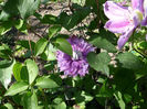 P1210224