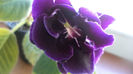 DSC01458