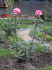 DSC03178