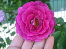 DSCF1789