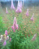 Fotogr.0046