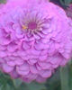 Fotogr.0077
