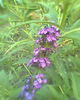 Fotogr.0080