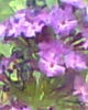 fotogr.0080_001