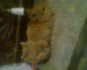 Fotogr.0150
