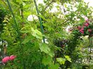 DSC08371
