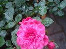 DSC03669