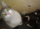 DSC03692