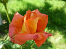 P1160823