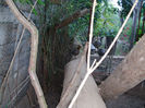 SANY0056