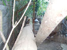 SANY0057