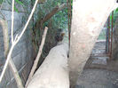 SANY0058