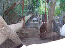 SANY0060