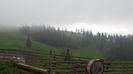 DSCF2356