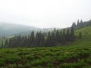 DSCF2380