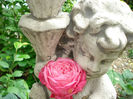 DSC08434