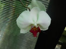 DSCN4424
