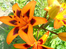 DSCN4433