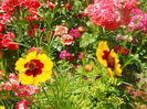 DSCN4437