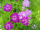DSCN4440