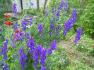 DSCN4444