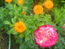 DSCN4455