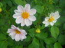 DSCN4460