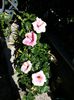 20130612_091310