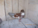 DSCN0067