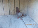 DSCN0070