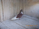 DSCN0076