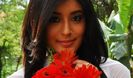 Kritika_Kamra_hot_lips_flowers