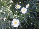 margarete