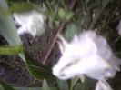 Fotografii-0398