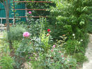 DSCF1837