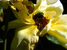 DSCN3197