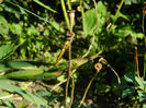 DSCN3202