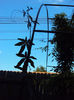DSC06454