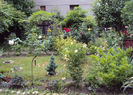 DSC05240