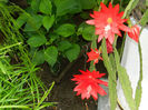 DSCN4502