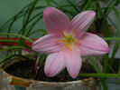 DSCN4504