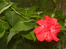 DSCN4507