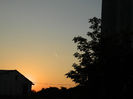 DSCN4419